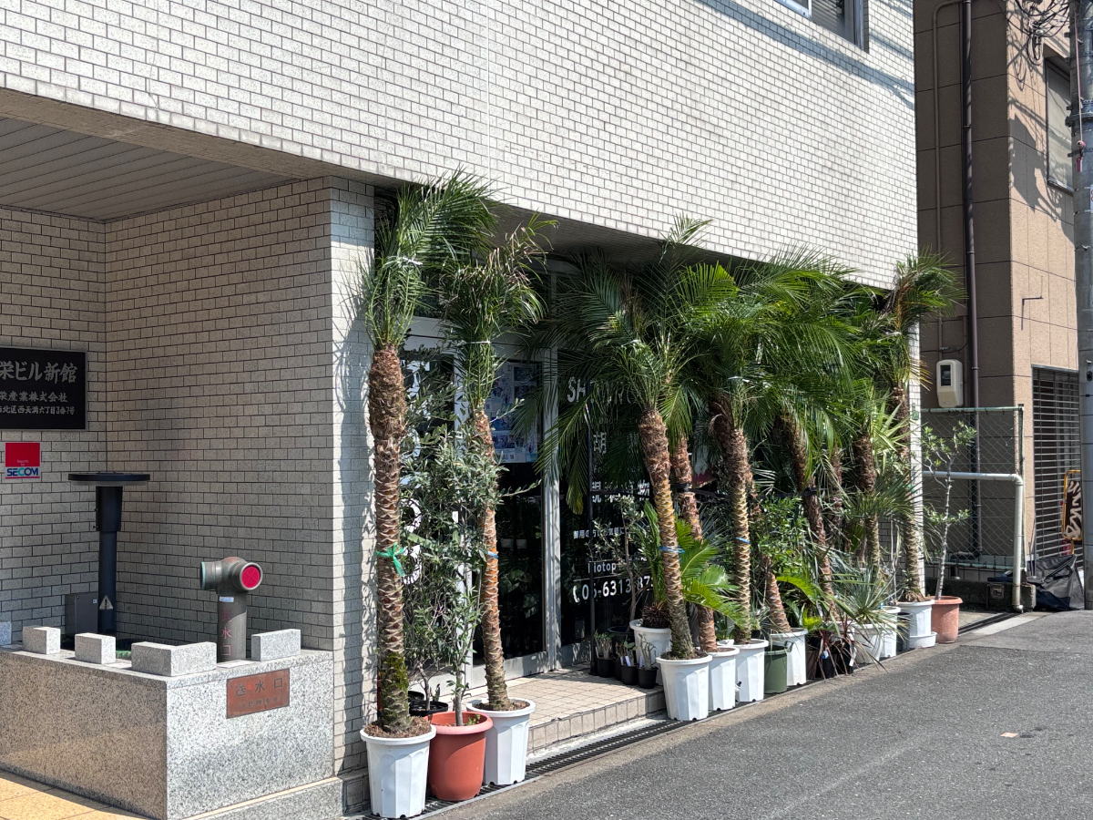 v20260803150756/fresh/building/J00100615256_11