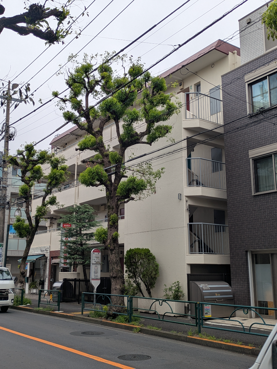 v20260807150853/fresh/building/J00100368535_9
