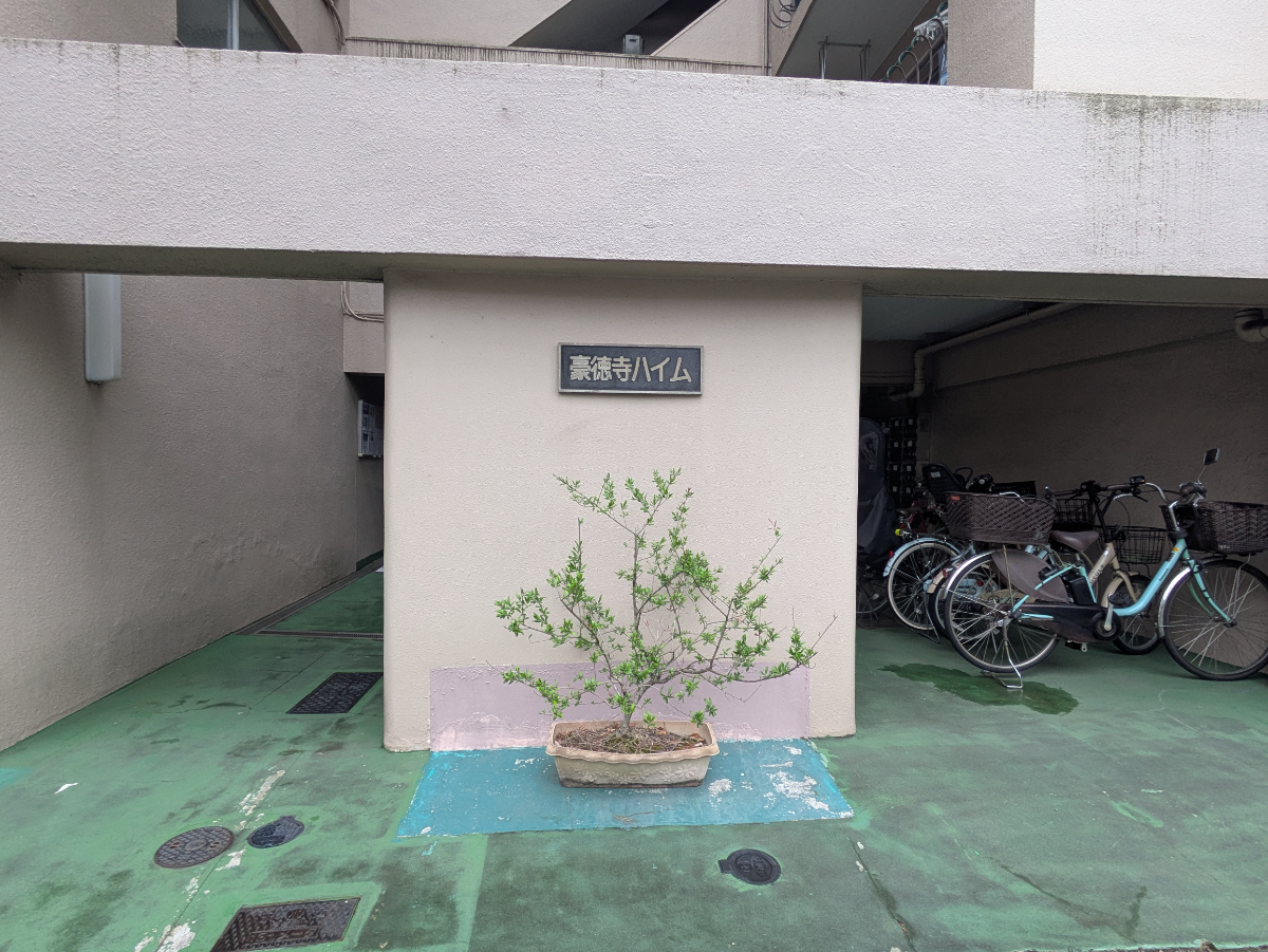 v20260807150853/fresh/building/J00100393879_3