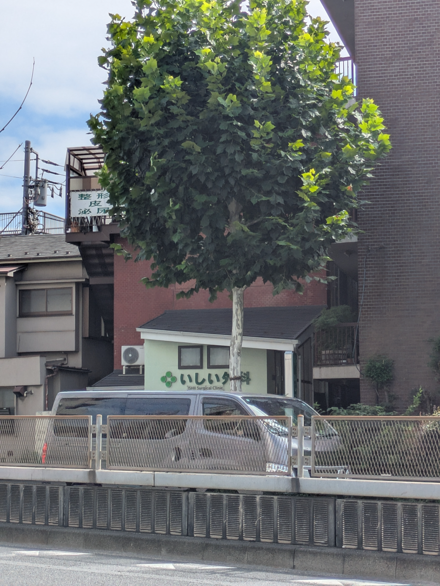 v20260812150645/fresh/building/J00100393429_8