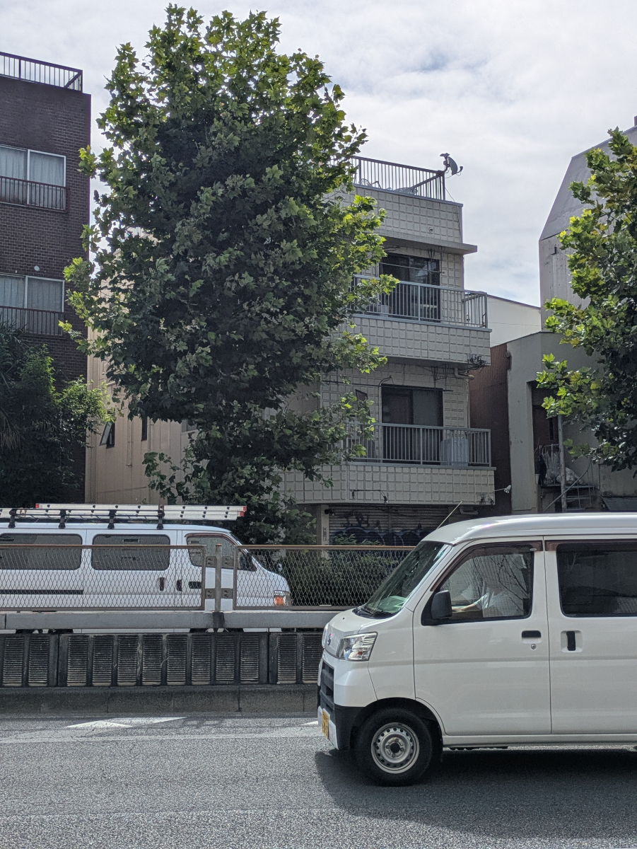 v20260812150645/fresh/building/J00100408484_6
