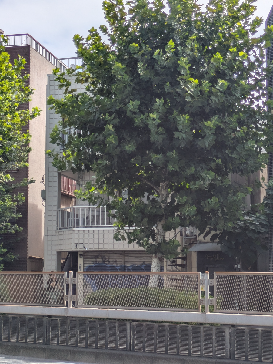 v20260812150645/fresh/building/J00100408484_7