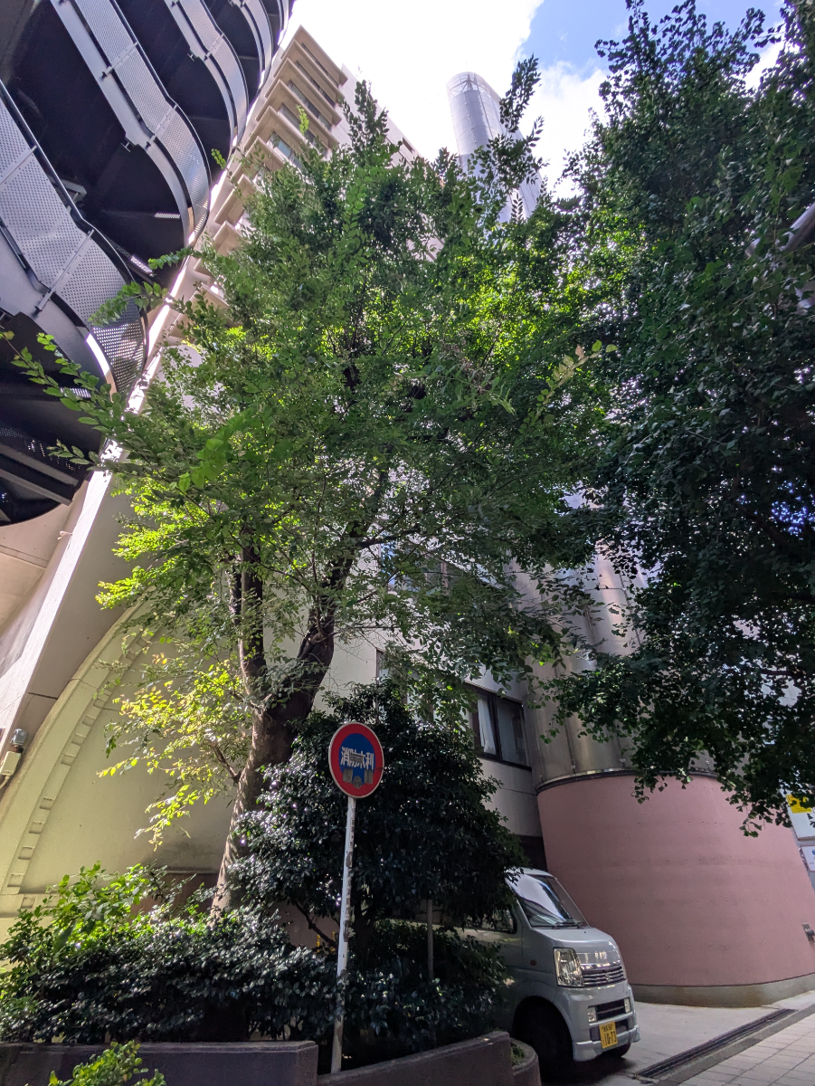 v20260818150758/fresh/building/J00100380231_15