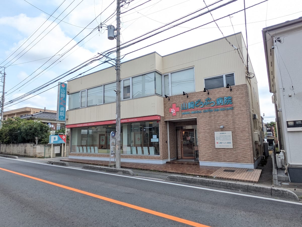fresh/building/J00100370295_1
