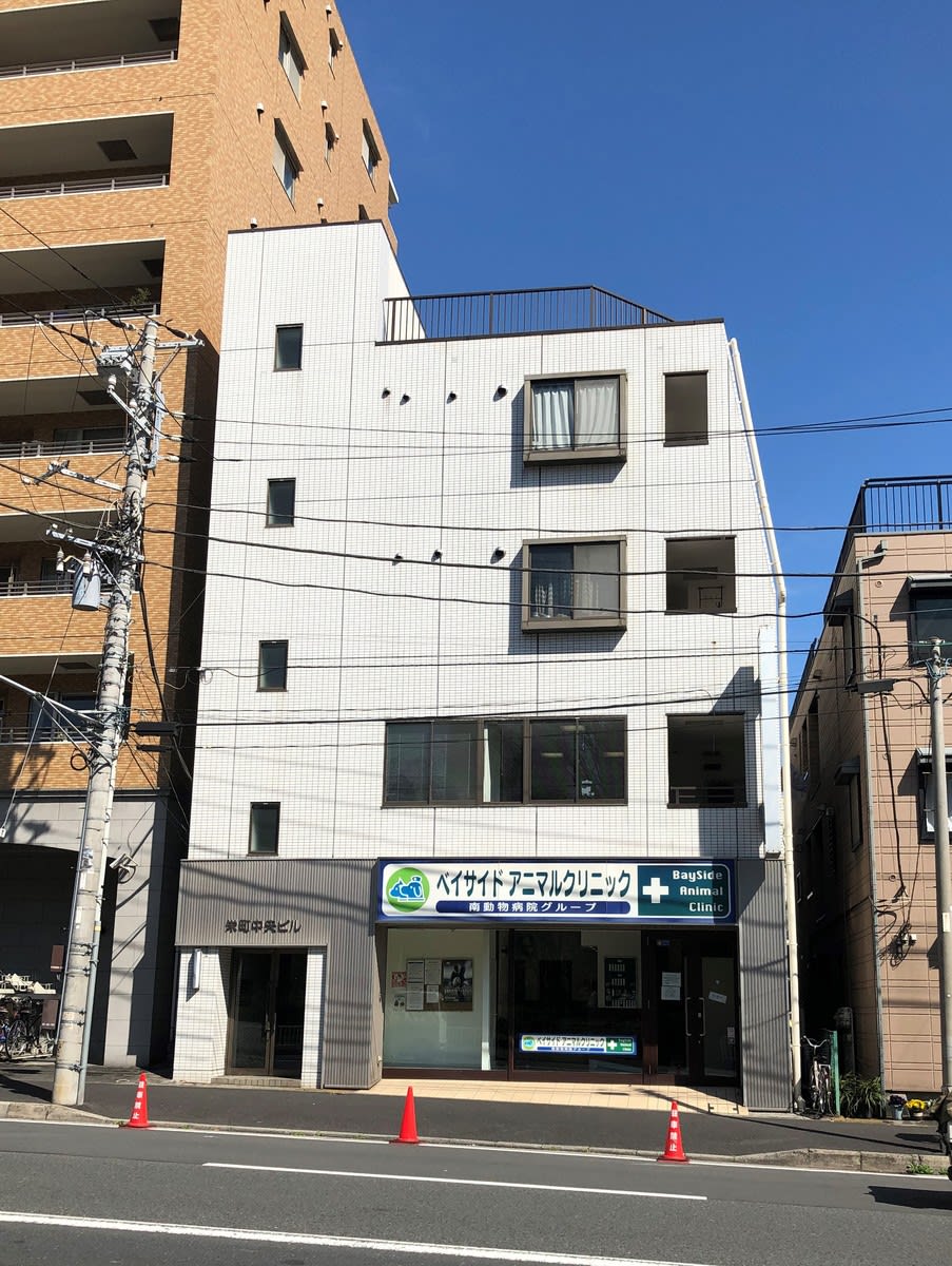 fresh/building/J00100396386_1