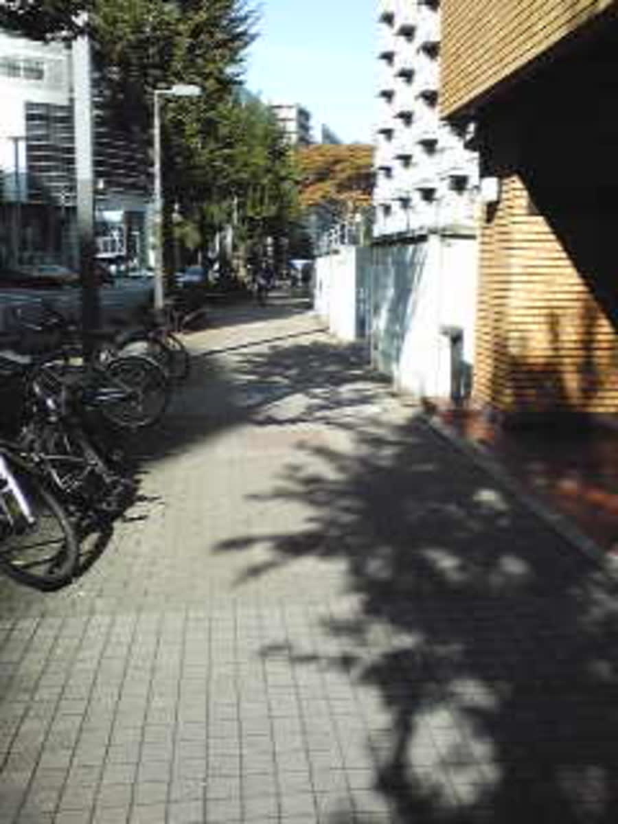v20230506151907/fresh/building/J00100365853_2