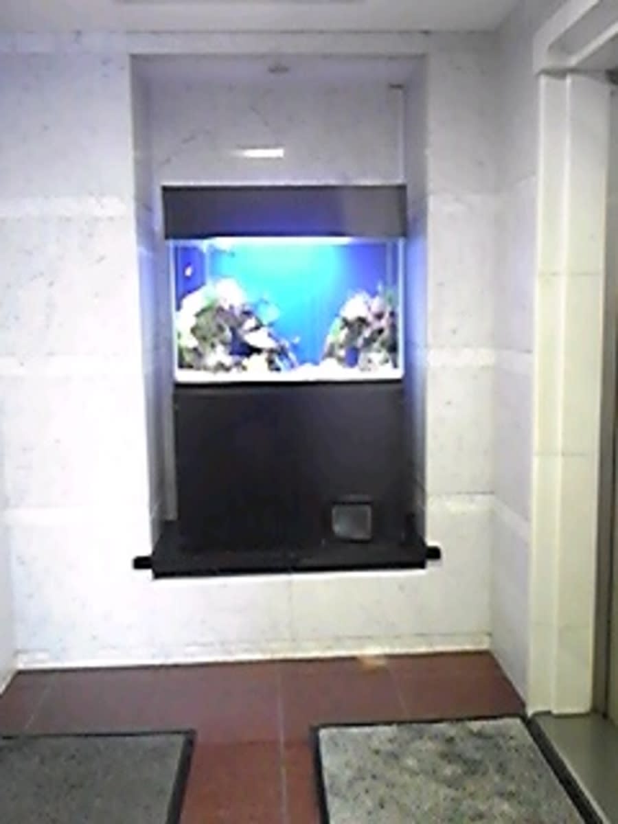 v20230506151907/fresh/building/J00100369239_11