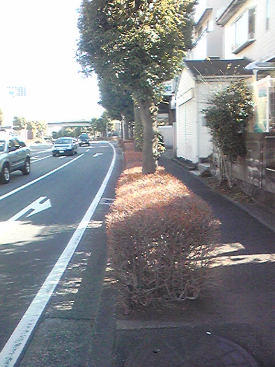 v20230506151909/fresh/building/J00100361505_2
