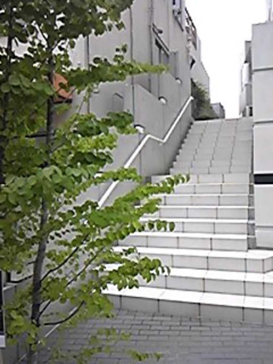 v20240228174054/fresh/building/J00100404564_9