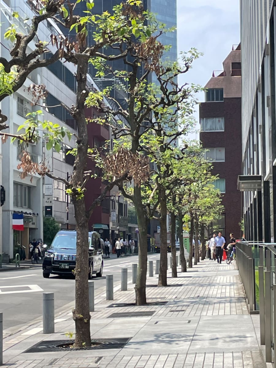 v20240802174109/fresh/building/J00100364081_12