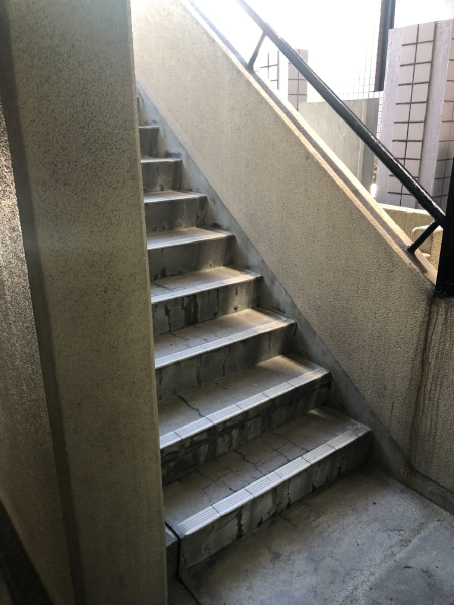 v20241125174106/fresh/building/J00100384265_5