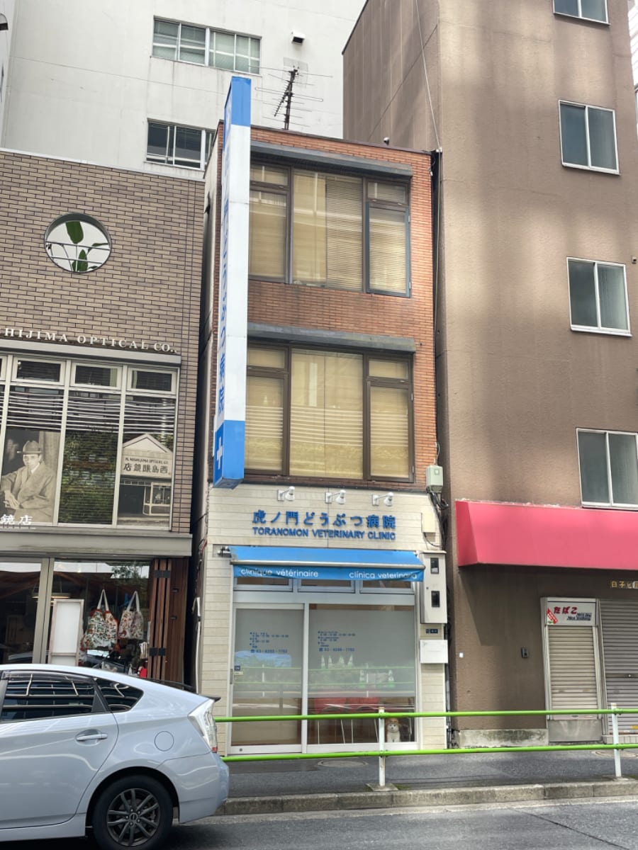 v20250204174115/fresh/building/J00100362410_5