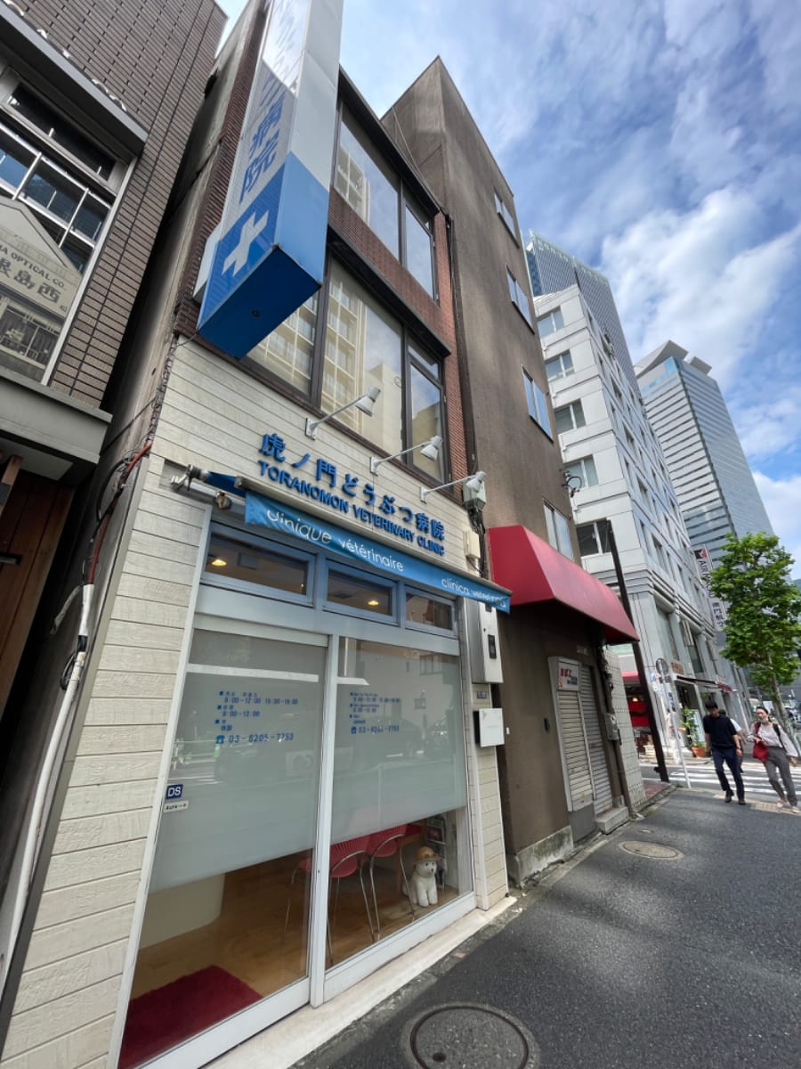 v20250204174115/fresh/building/J00100362410_7