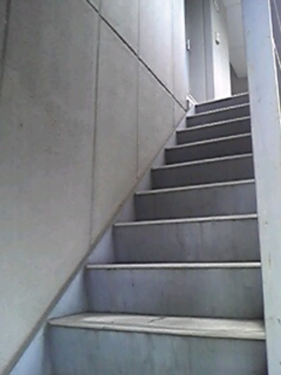 v20250305174101/fresh/building/J00100360264_4