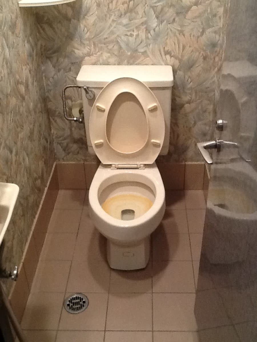 v20250314181509/fresh/room/J00101961606_9