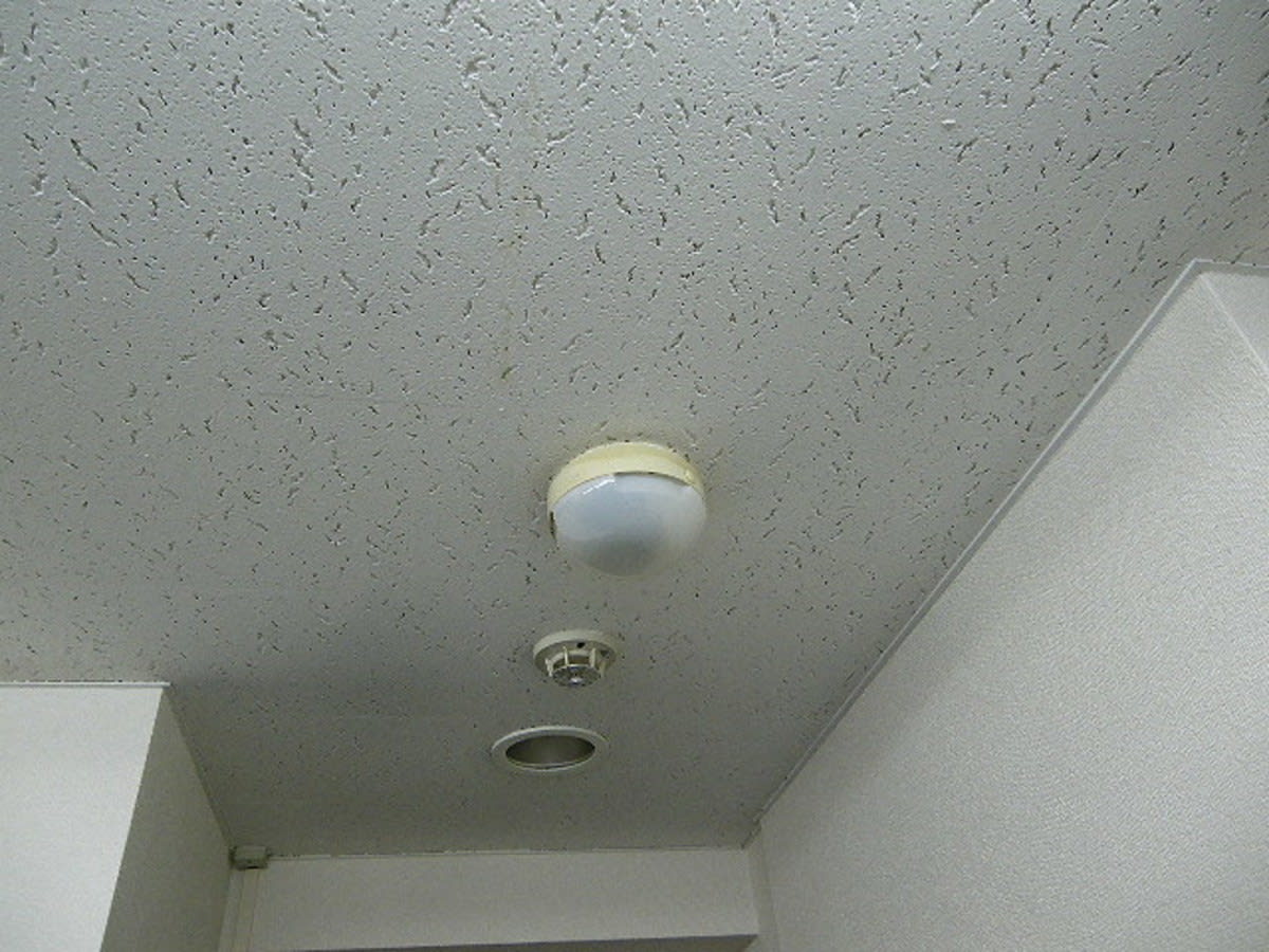 v20250327181414/fresh/room/J00102097345_6