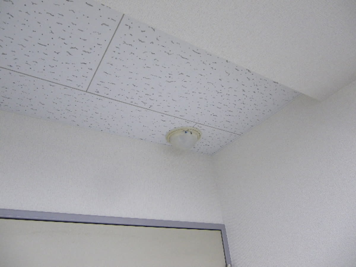 v20250427002254/fresh/building/J00100387601_12