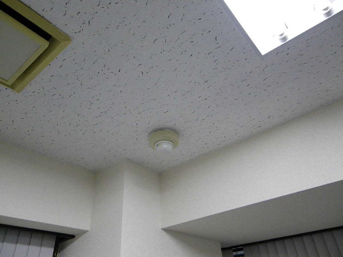 v20250427002254/fresh/building/J00100387620_10