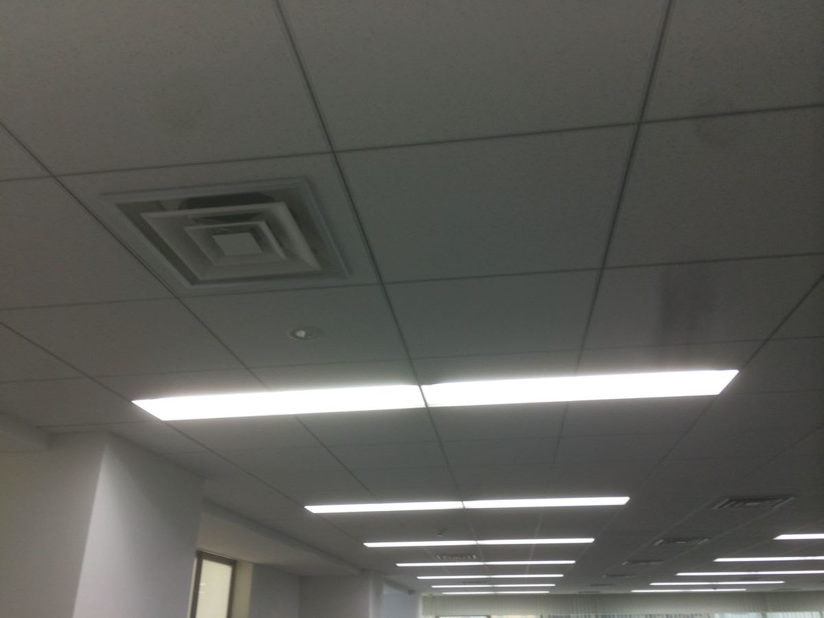 v20250427003410/fresh/building/J00100395783_10