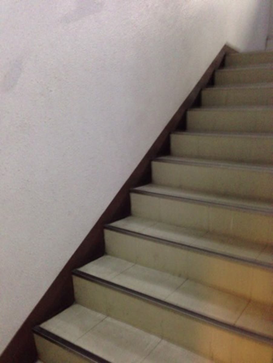 v20250427003805/fresh/building/J00100399029_4