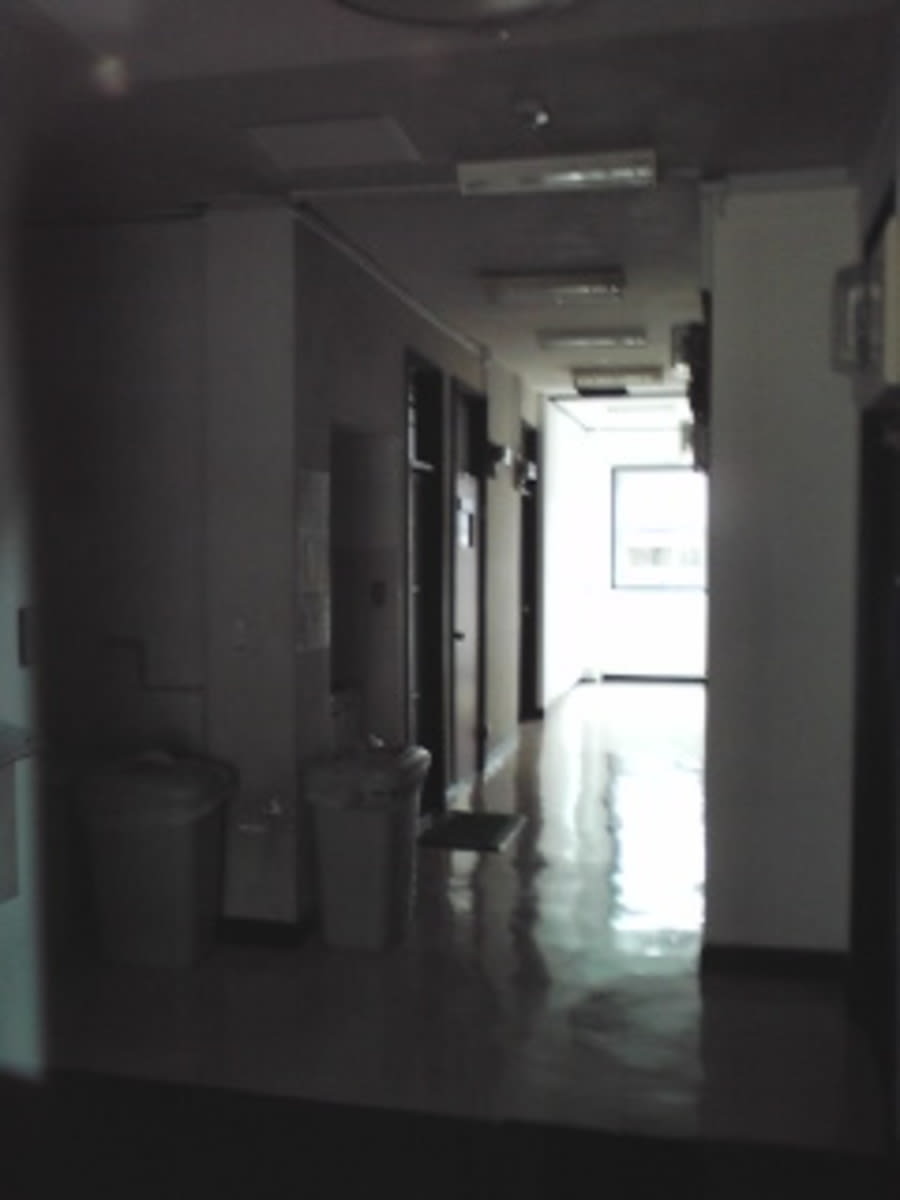 v20250427004119/fresh/building/J00100401851_4