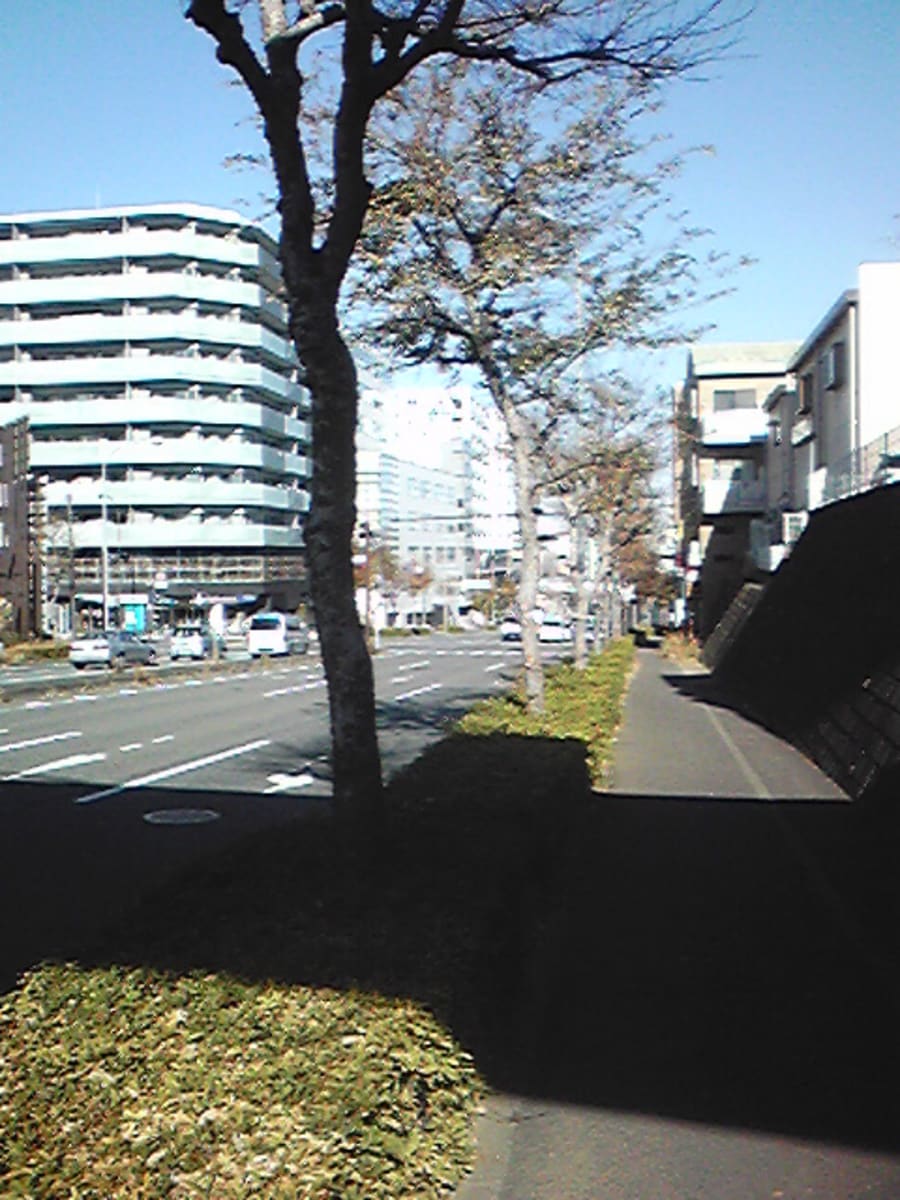 v20250427004617/fresh/building/J00100406943_2