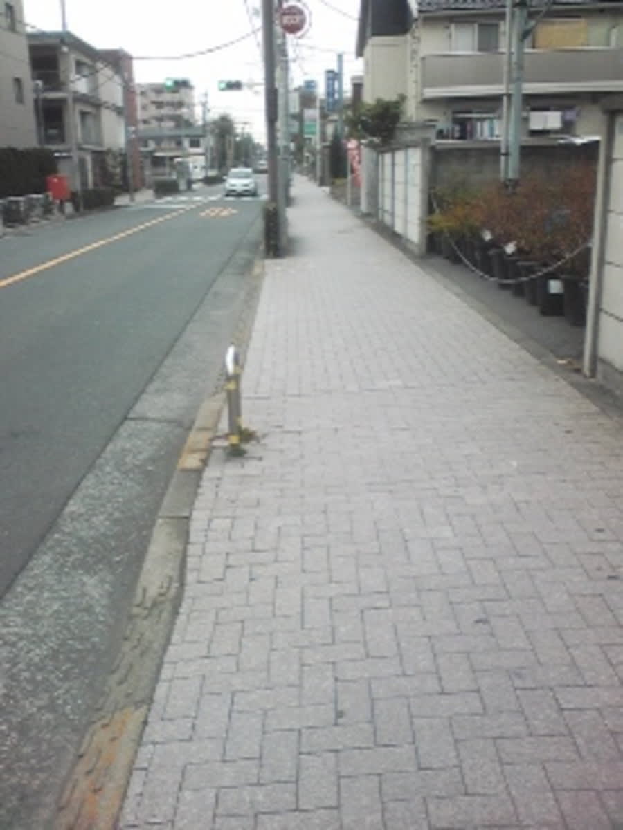 v20250427004617/fresh/building/J00100408995_2