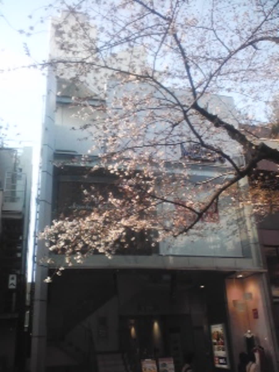 v20250427004617/fresh/building/J00100409539_1