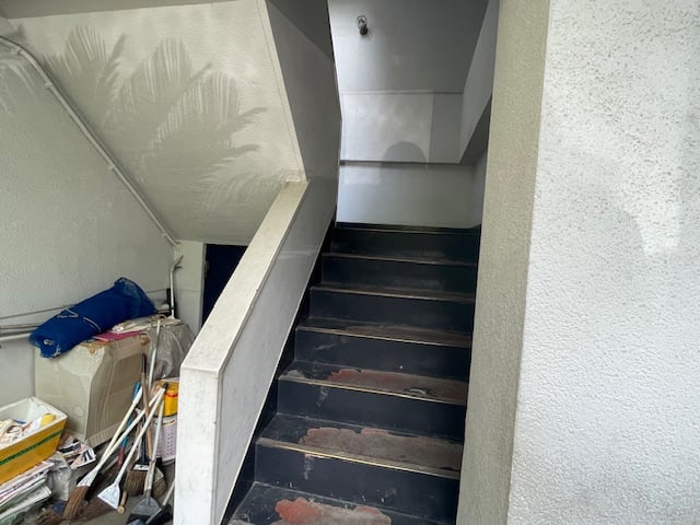 v20250427005210/fresh/building/J00100410258_4
