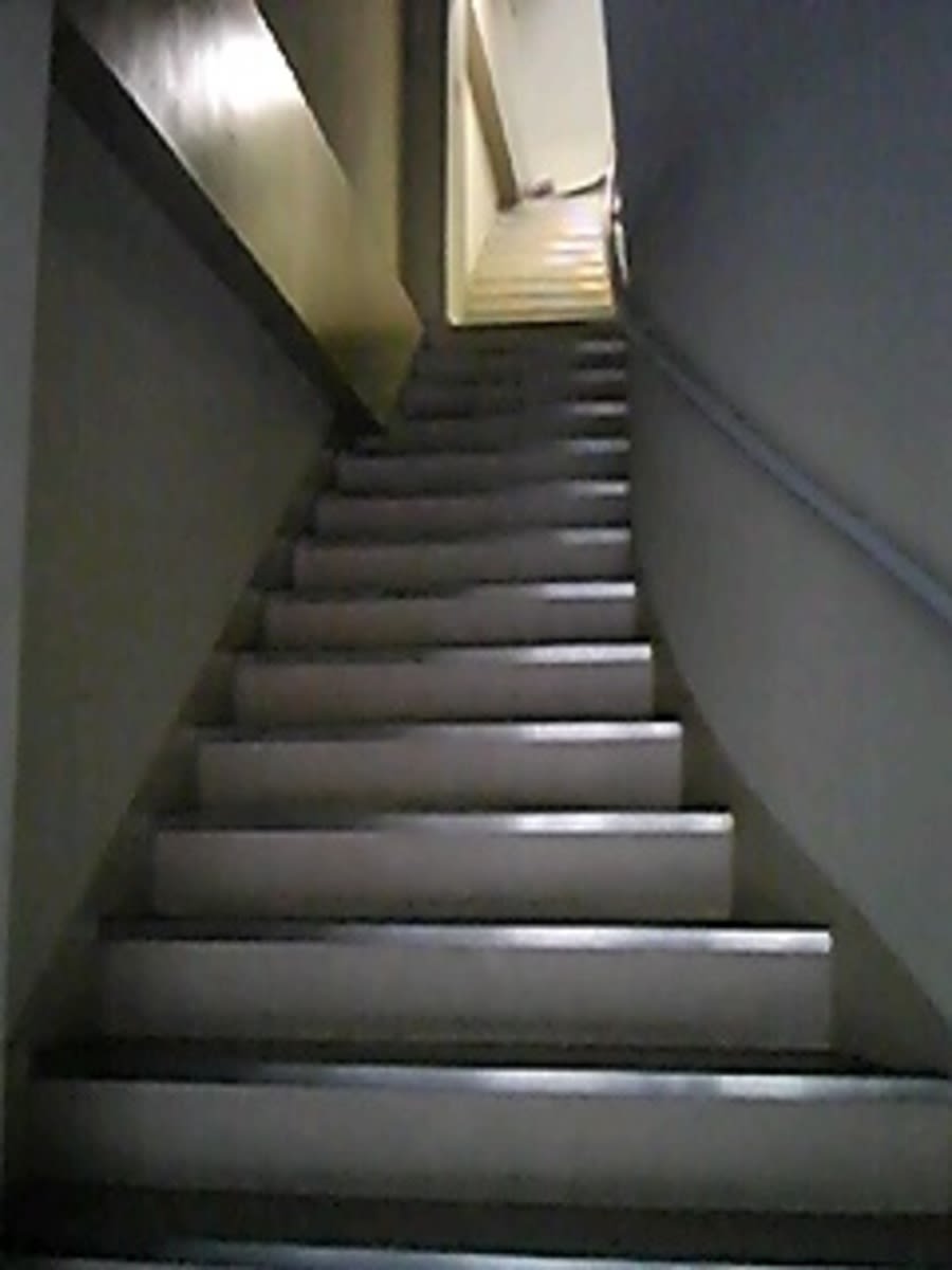v20250427005210/fresh/building/J00100410985_4