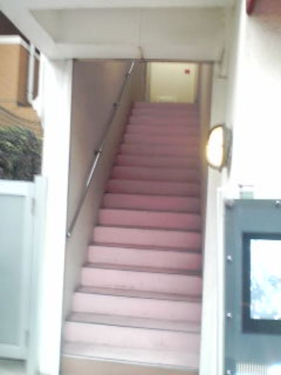 v20250427005210/fresh/building/J00100411012_3