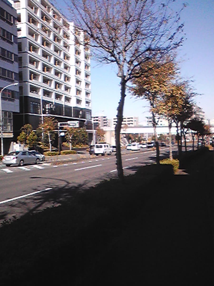 v20250427005210/fresh/building/J00100411115_2