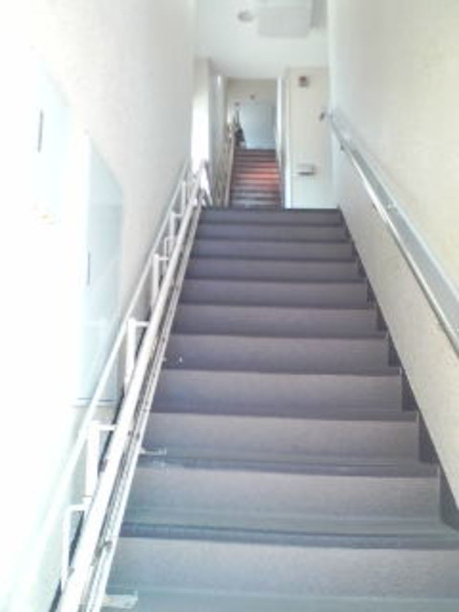 v20250427005210/fresh/building/J00100411546_4