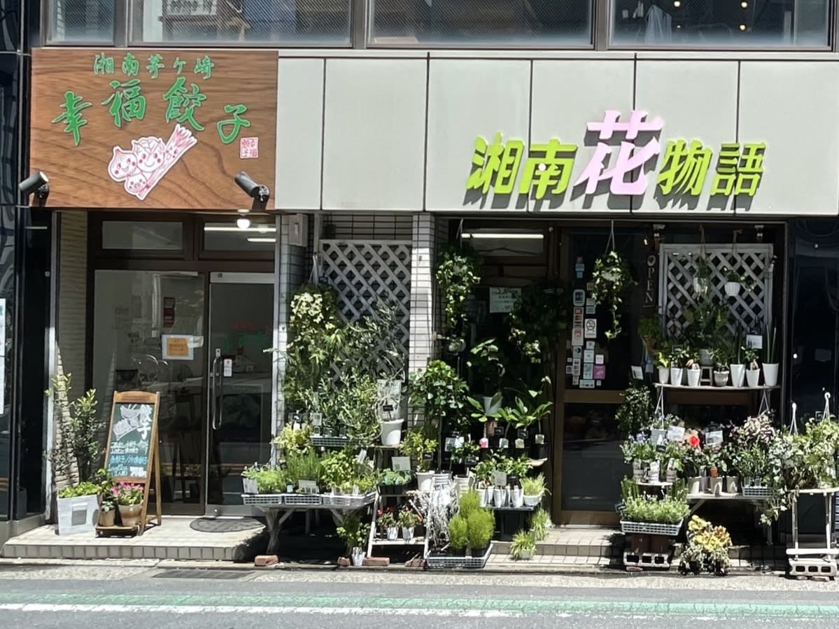 v20250427005210/fresh/building/J00100412145_3