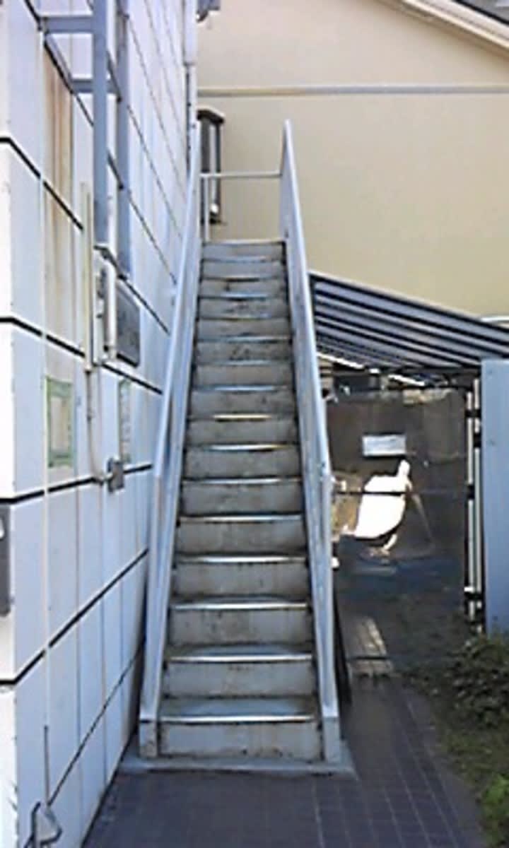 v20250427005210/fresh/building/J00100412190_4