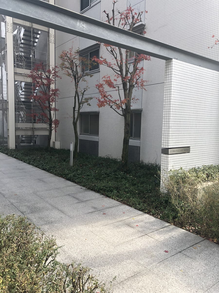 v20250427005511/fresh/building/J00100413944_3
