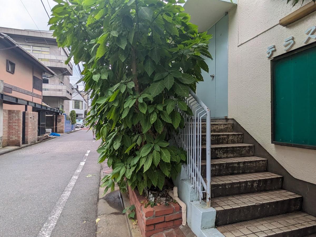 v20250427005511/fresh/building/J00100415583_9