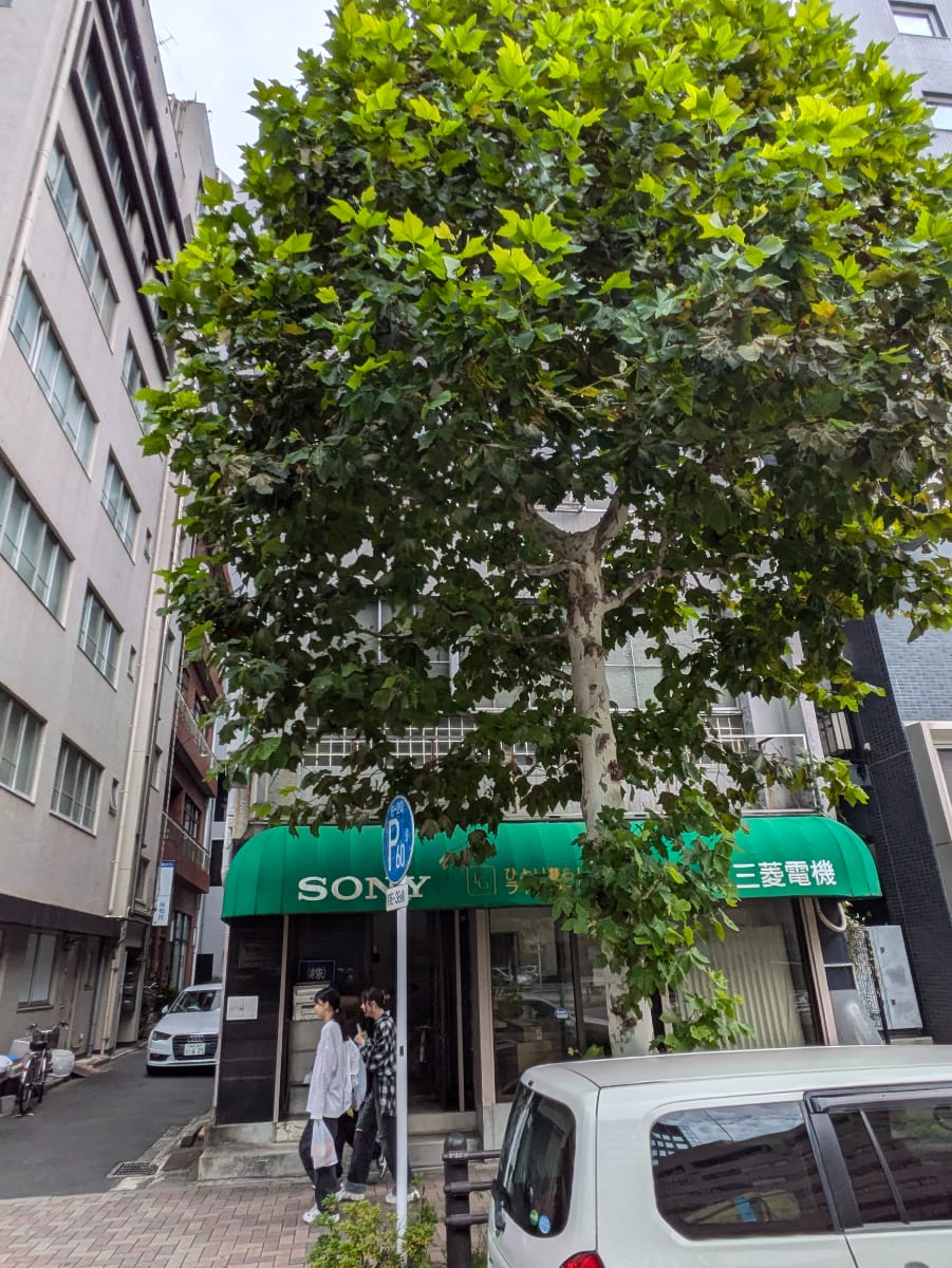v20250427005820/fresh/building/J00100417542_5