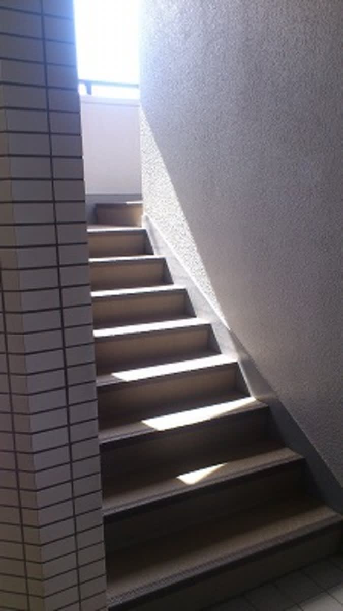 v20250427005820/fresh/building/J00100420280_4