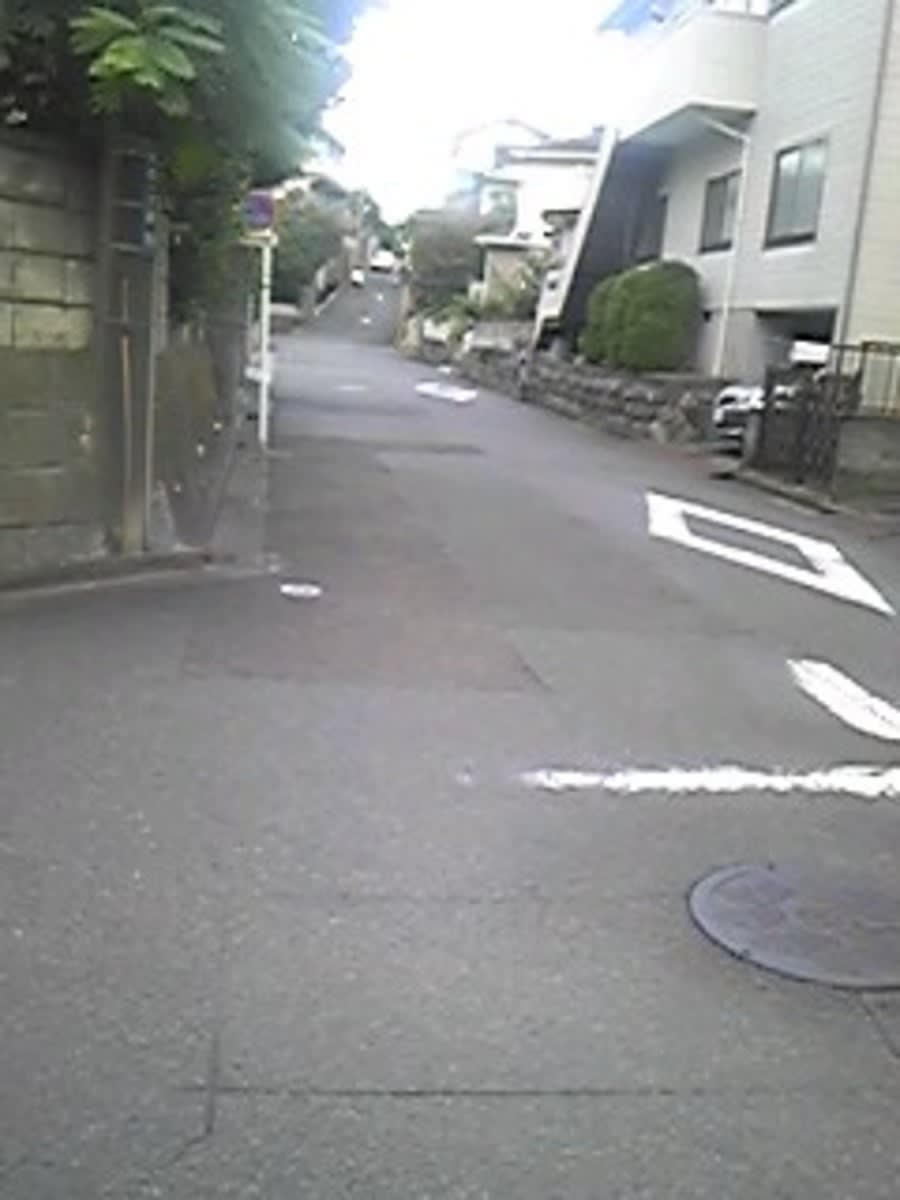 v20250427010205/fresh/building/J00100420923_2
