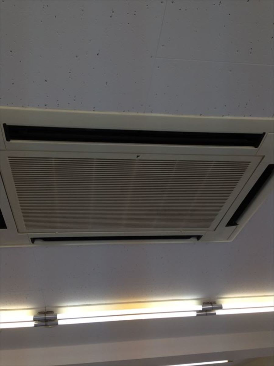v20250427010205/fresh/building/J00100421806_9