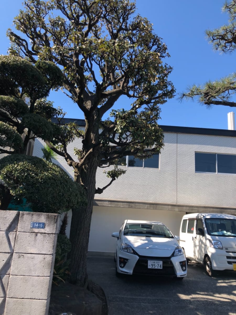 v20250427010506/fresh/building/J00100470059_5