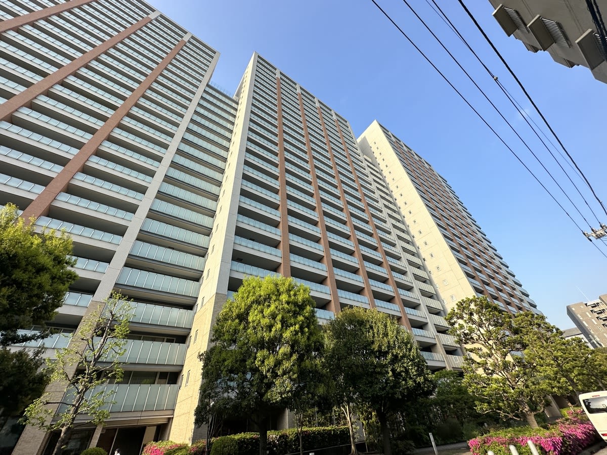 v20250427010817/fresh/building/J00100499241_6