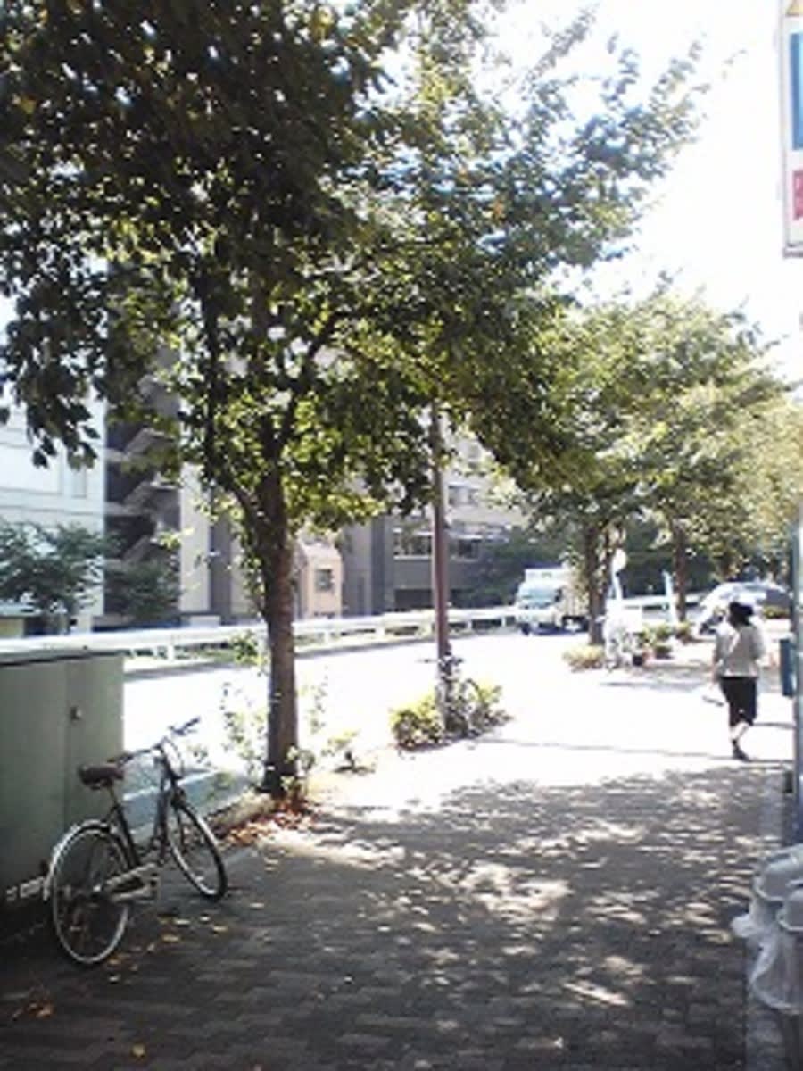 v20250427022212/fresh/building/J00100371383_2