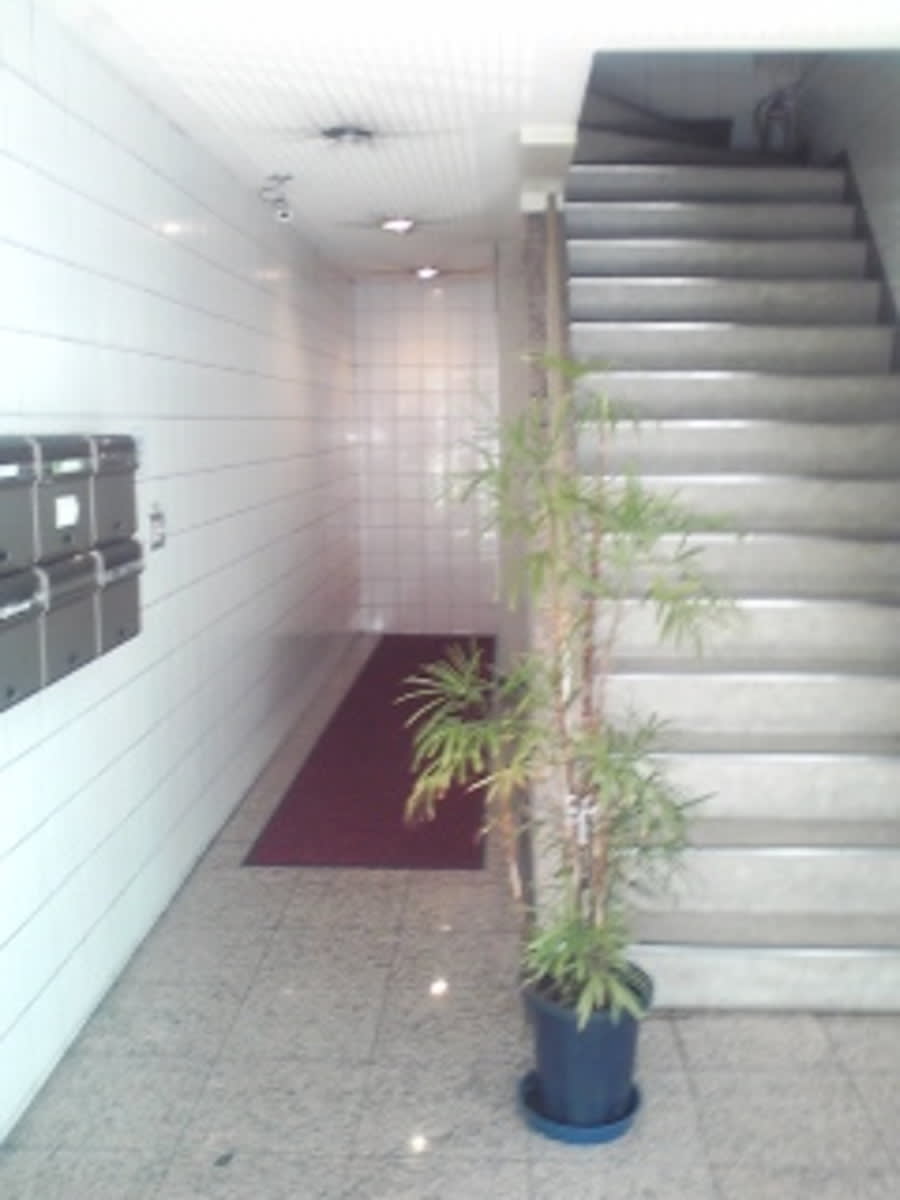 v20250427022213/fresh/building/J00100373989_3