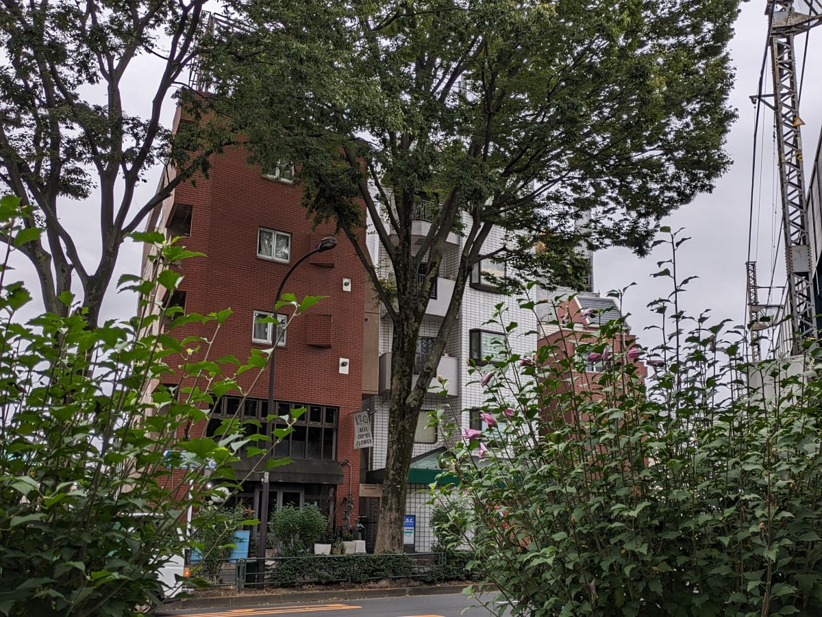v20250427022213/fresh/building/J00100374548_19