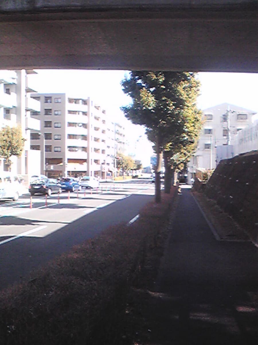 v20250427023510/fresh/building/J00100380994_2