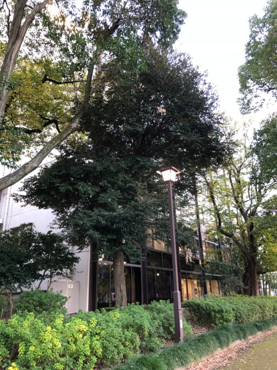 v20250427023510/fresh/building/J00100381883_9
