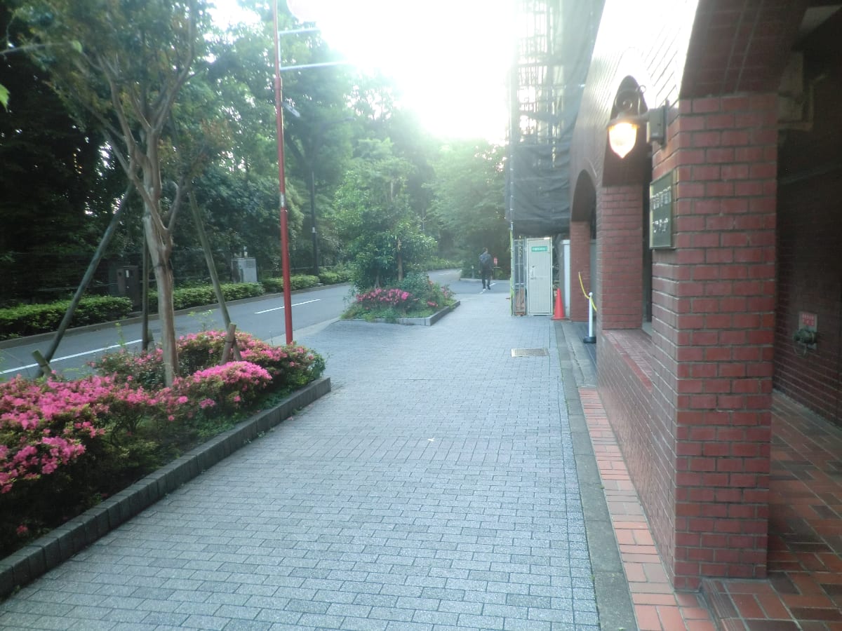 v20250427023510/fresh/building/J00100382491_2
