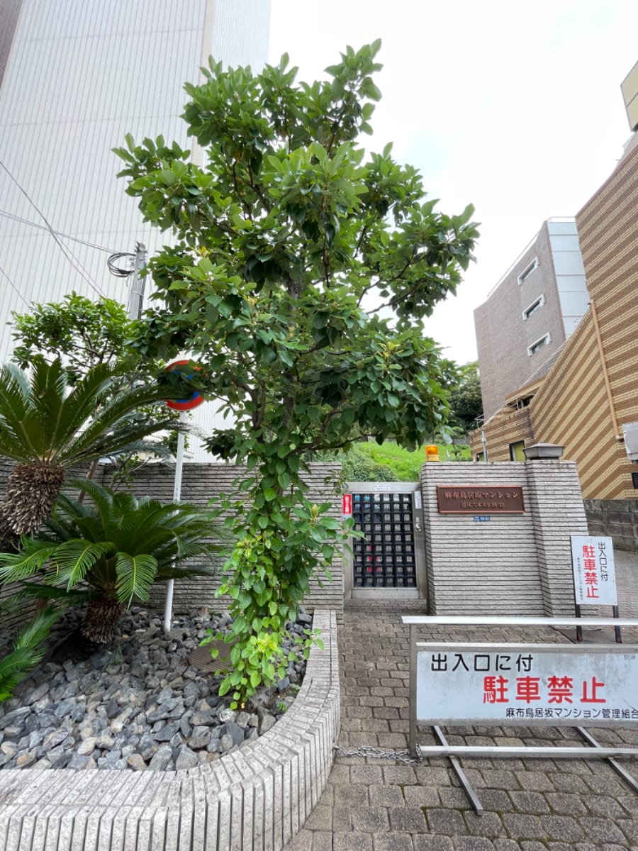 v20250427023809/fresh/building/J00100383561_6